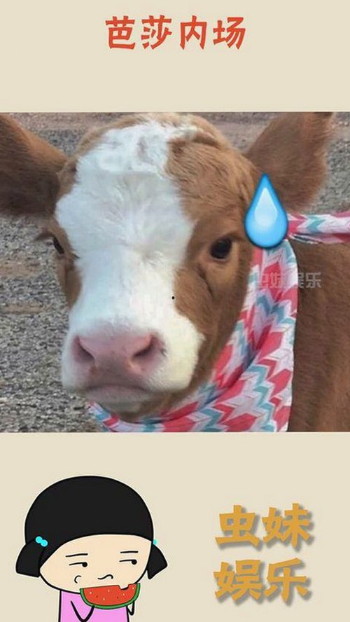 暗网吃瓜火爆背后揭秘：谁是娱乐圈爆料老板？