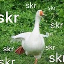 明星背后的秘密与大赛合集热度持续攀升