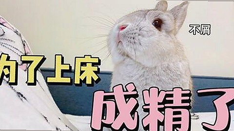 吴柳芳：从体操冠军到争议中心，光环与黑料的巨大反差